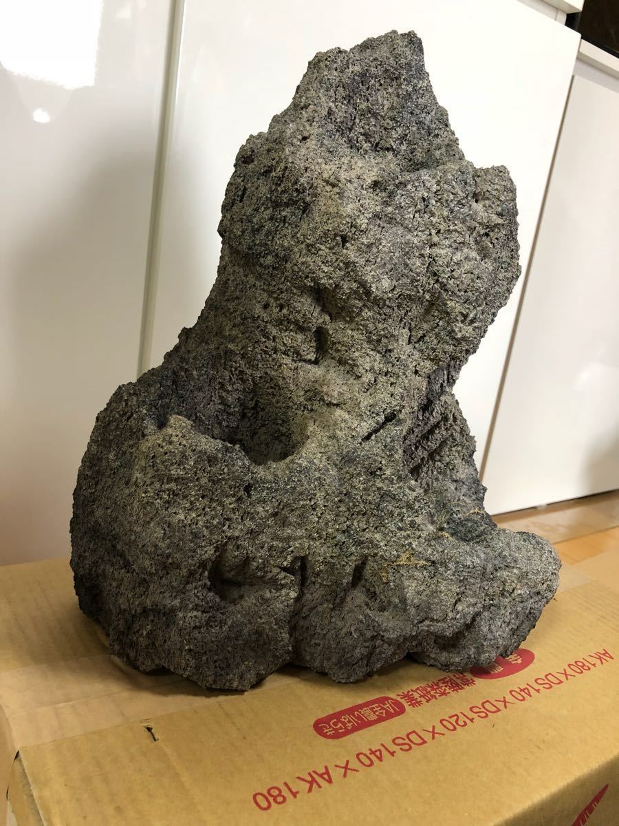 ADA雲山石XL ペット用品 魚用品/水草 【公式通販】