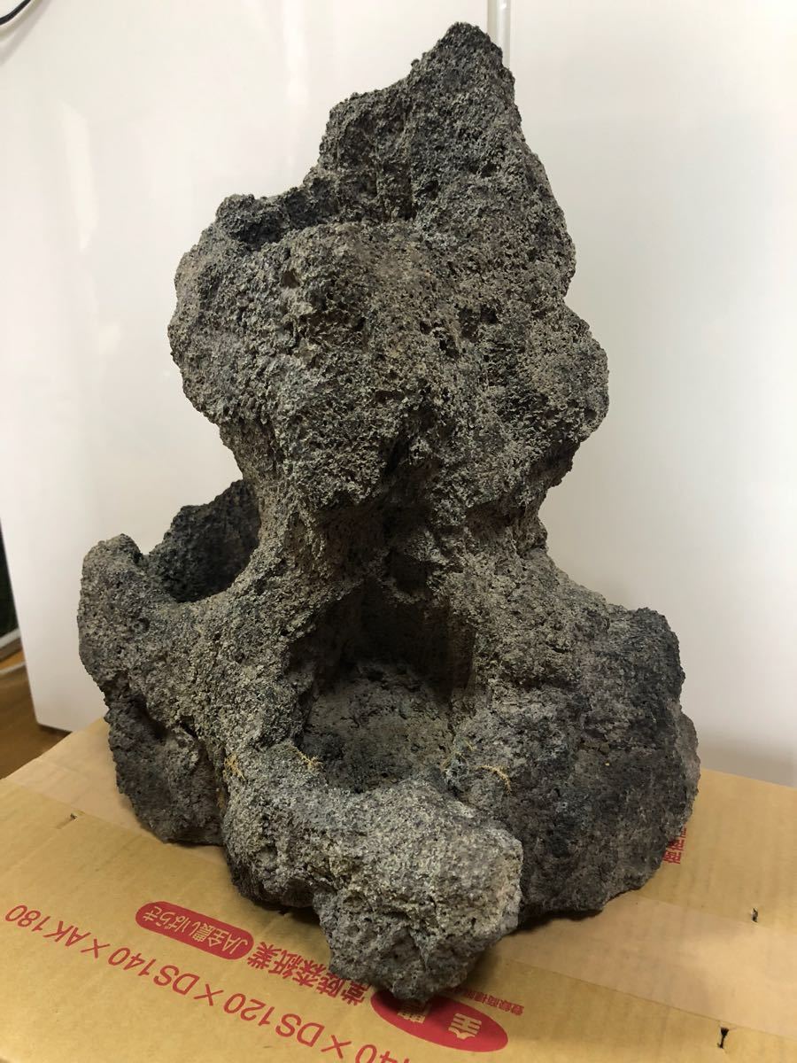 ADA アクアデザインアマノ 雲山石 XLサイズ ハイタイプ 3つ穴 限定品