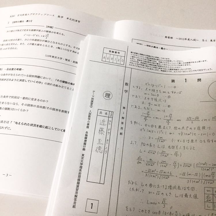 鉄緑会による英語マーク式文法演習フルセット 駿台 河合塾 東進 SEG