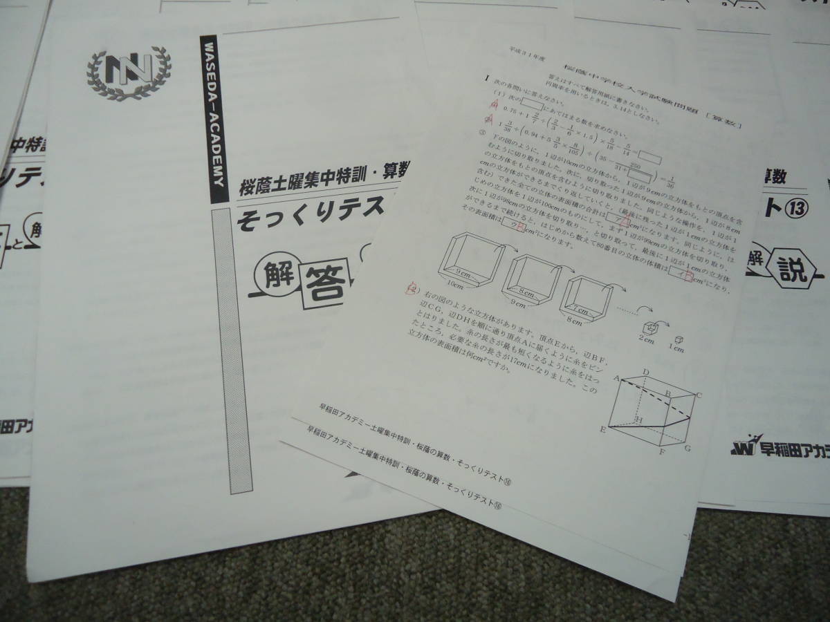 2022年終了【未使用】NN早実クラス 土曜集中特訓 そっくりテスト■フルセット 小6 NN志望校別コース（前期） 早稲田アカデミーのNN（何がなんでも