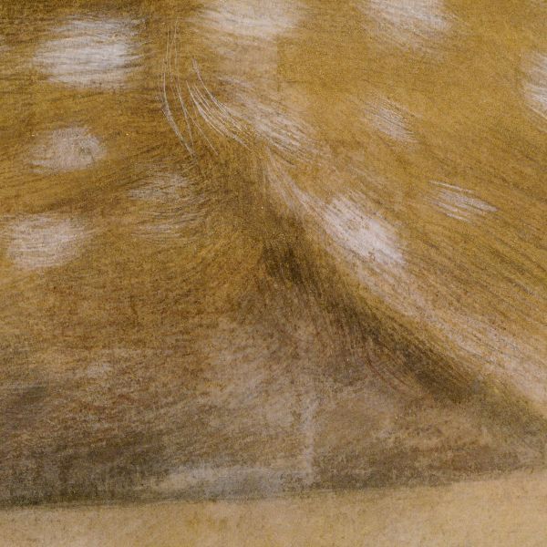梅原幸雄 「きざし(共シール)」 額装30号 画家の眼差しが、小鹿の命