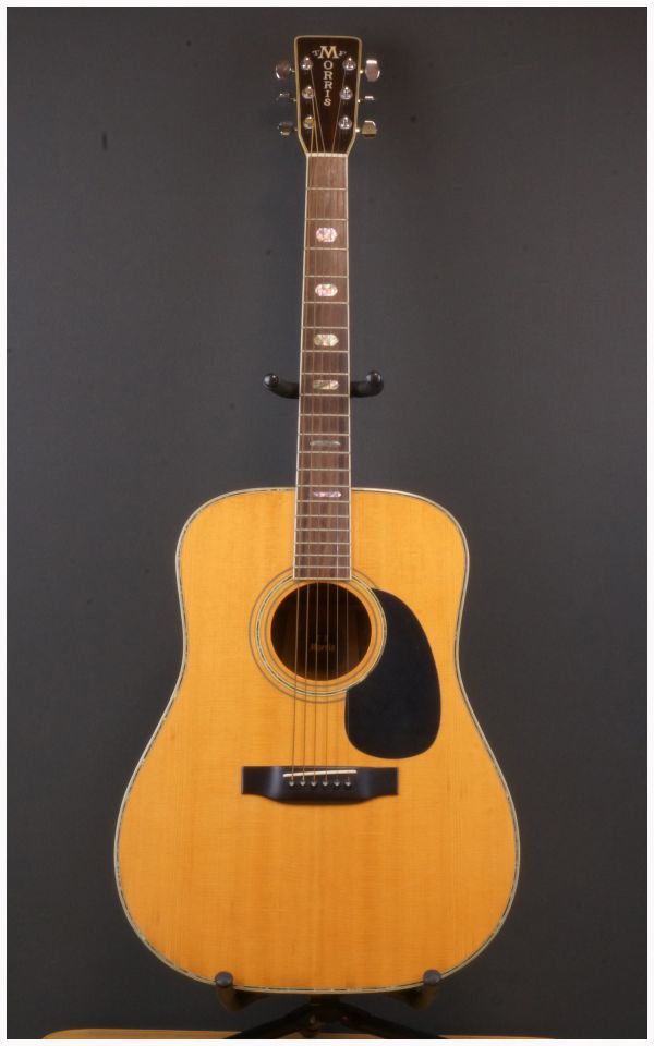 ハカランダ MORRIS MORRIS モーリス アコースティックギター TF MORRIS