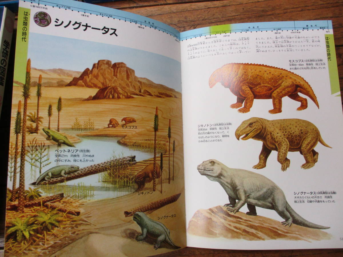 Z-Ё/学研の図鑑15冊セット 水の生物 昆虫 昆虫両生類 恐竜 ロケット 花 
