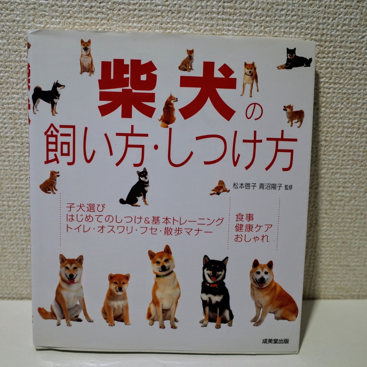 ■送料無料■柴犬の飼い方・しつけ方■中古■_1