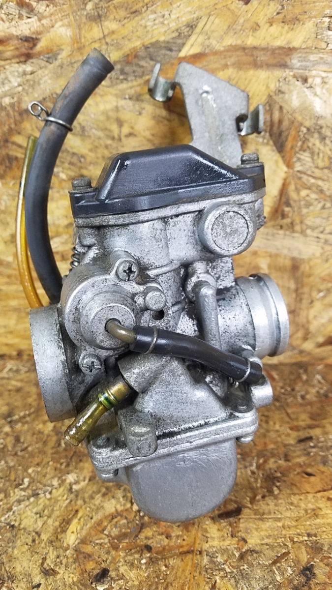 極美展足キリンクビナガオトシブミ 立体標本 昆51 キリンクビナガ