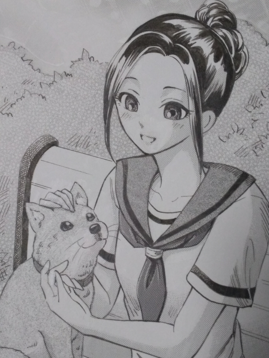 柴犬と少女 オリジナル手描きイラスト 手描きイラスト 売買されたオークション情報 Yahooの商品情報をアーカイブ公開 オークファン Aucfan Com