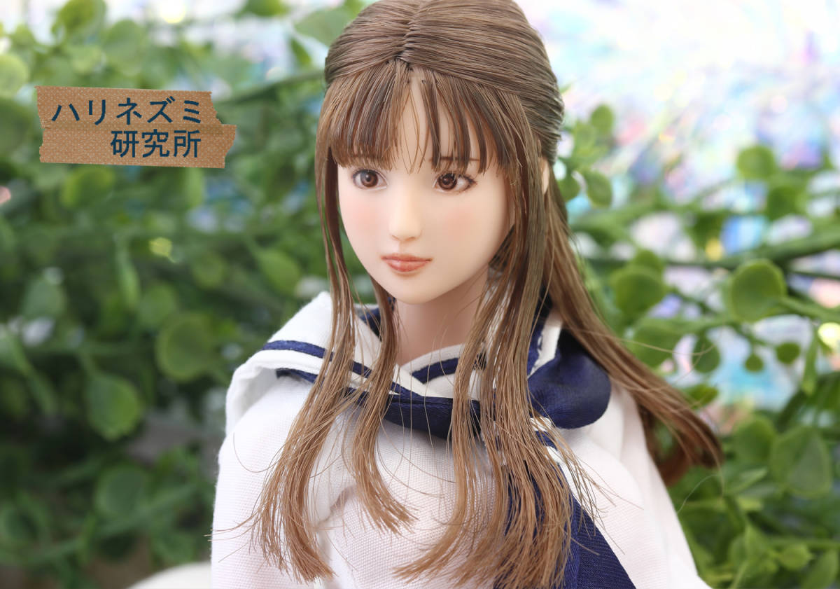 ハリネズミ研究所 1/6 カスタムドールヘッド ～緑川 加菜・ミドリカワ 