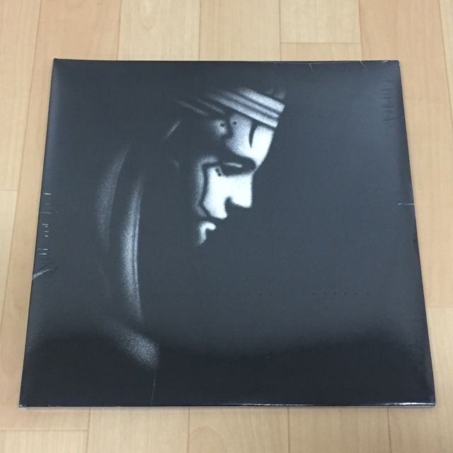 P-MODEL LPアナログ盤 KARKADOR/カルカドル レコードP-MODEL