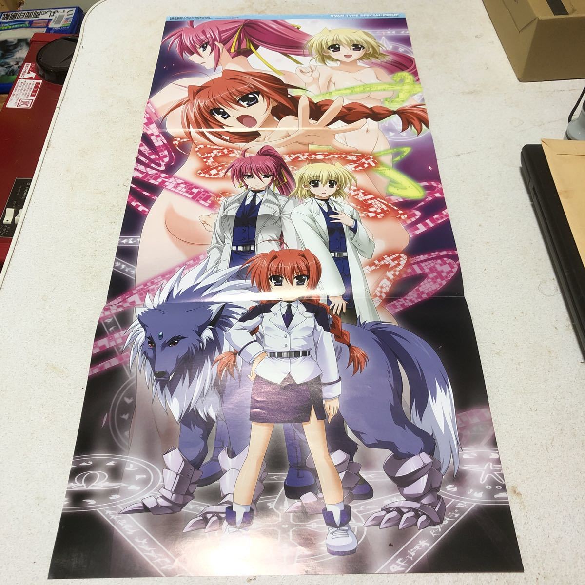 ピンナップポスター 娘TYPE 魔法少女リリカルなのは the movie 2nd A's