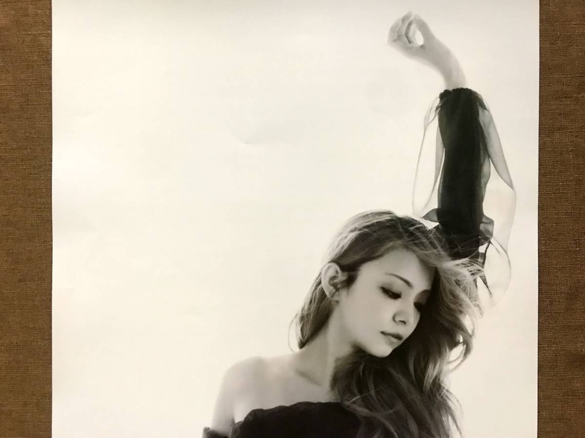 安室奈美恵 黒白 ポスター B2の入札履歴 - 入札者の順位