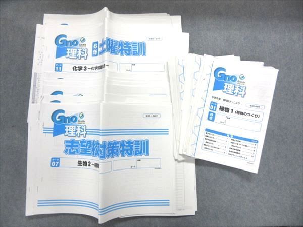 グノーブル 小6 Gno GNOラーニング⁄志望校対策⁄土曜⁄正月 | テキスト