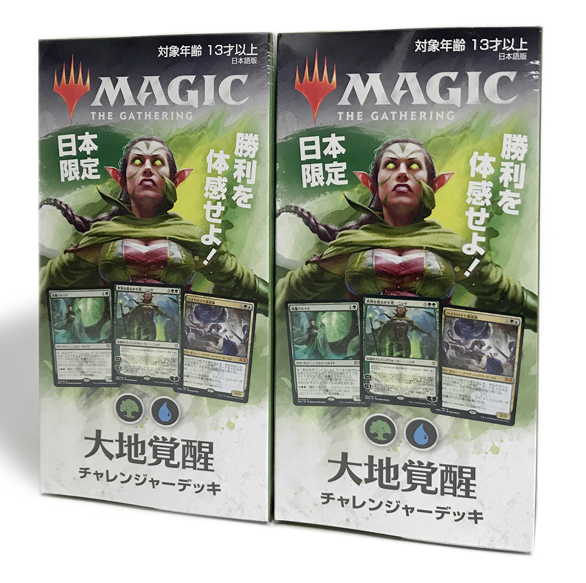 即決! 未開封! MTG 日本限定チャレンジャーデッキ 大地覚醒 2個セット