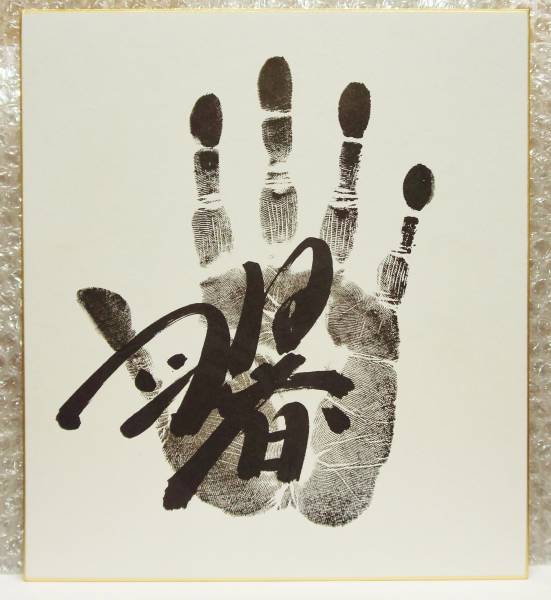 曙 手形入り 相撲 力士 曙 大相撲 若乃花 2025年最新曙 額 29代木村