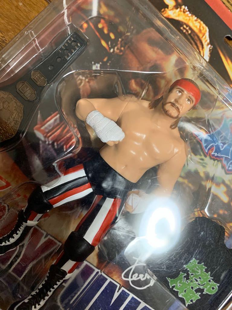 プロレス フィギュア Beyond the Mat テリー・ファンク 未開封 テリーファンク フィギュア ECW NWA キャラプロ ビヨンドザ