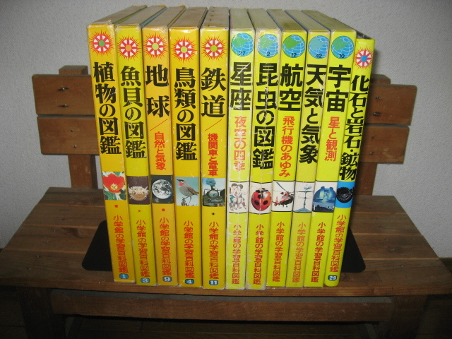 小学館の図鑑NEO 11冊セット 小学館の図鑑NEOネオ 1～11巻 11