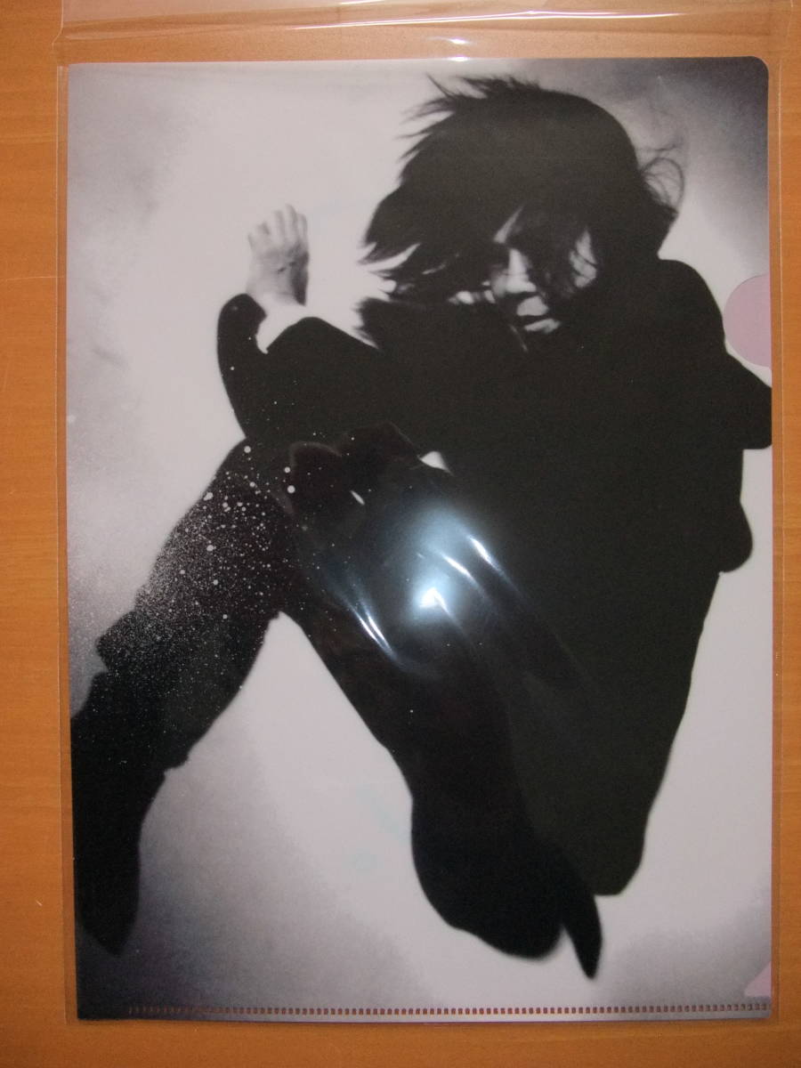 新品 未開封 クリアファイル付 宮本浩次 宮本、独歩。写真集付受注生産