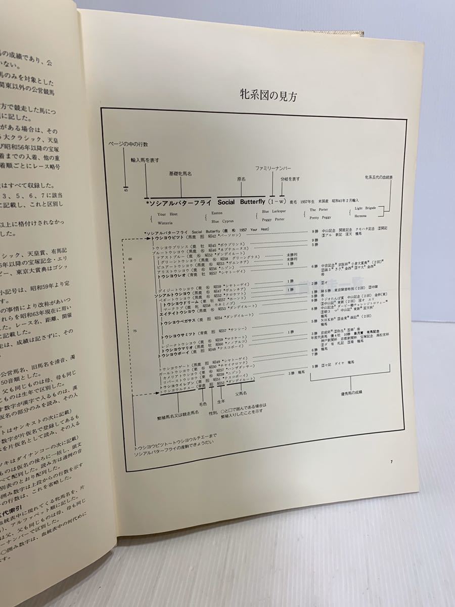 競馬 サラブレッド血統大系 日本 1989年版 白井透著 全943ページ 限定 