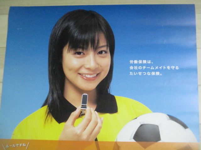 相武紗季 厚生労働省 B2判(約74x52㎝)広報 ポスター/検;女優アイドル