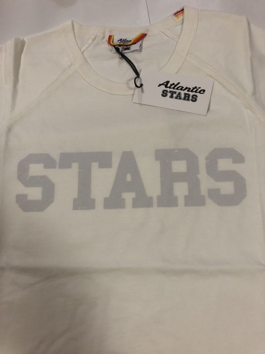 秋の足音。山採りコマユミ。 山取 コマユミ コマユミ - 植物図鑑