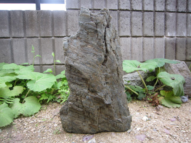 【人気，低価】 阿波石 庭石 庭園 坪庭 花壇 園芸 置石 庭木 ガーデニング 青石(植木、庭木)｜売買されたオークション情報、yahooの商品情報をアーカイブ公開 - オークファン 植木、庭木