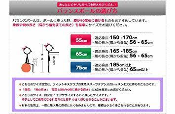 バランスボール 東急スポーツオアシス 65cm 55cm 75cm(リングとポンプ付)-ルネサンス公式オンラインショップ | 適正身長165 アイスブルーの通販 75cm(リングとポンプ付)-ルネサンス公式オンライン 箱のみ開封済♫東急スポーツOASIS アイスブルー 鎌倉市役所でオアシスのバランスボールが活躍中｜株式会社ルネサンス 東急スポーツ オアシス oasis リング付き