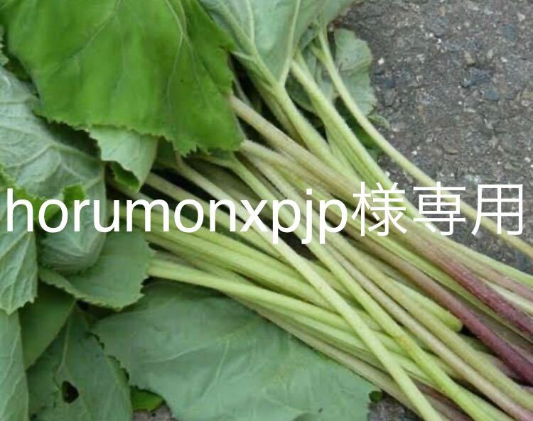 山フキ horumonxpjp様専用 ふき フキ 山蕗 1kg 山菜