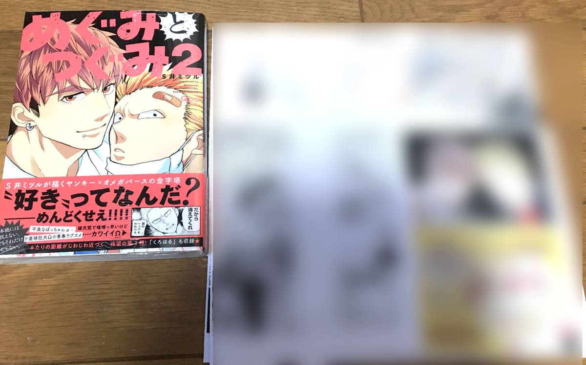 S井ミツル めぐみとつぐみ 2 特典14点 アニメイト とらのあな コミコミ 電子 フェア ドラマcd Qpa 竹書房 Bl クリックポスト ボーイズラブ 売買されたオークション情報 Yahooの商品情報をアーカイブ公開 オークファン Aucfan Com