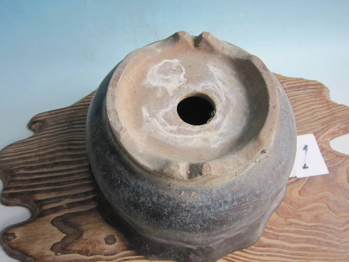 中国古盆器 23J3◇古書『中国古盆金賞』海天出版社◇盆景⁄鉢植⁄宜興
