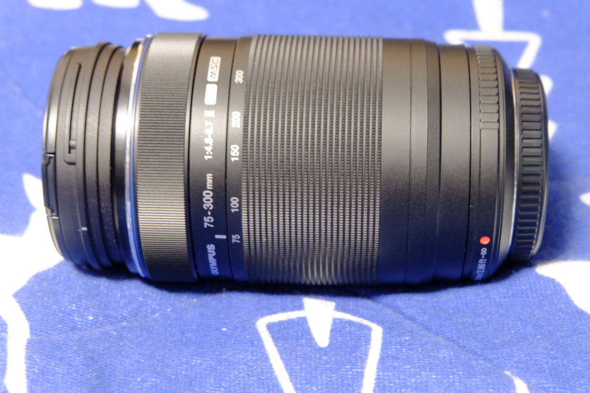 M.ZUIKO DIGITAL ED 75-300mm F4.8-6.7 II を購入。望遠は楽しいぞ。 -