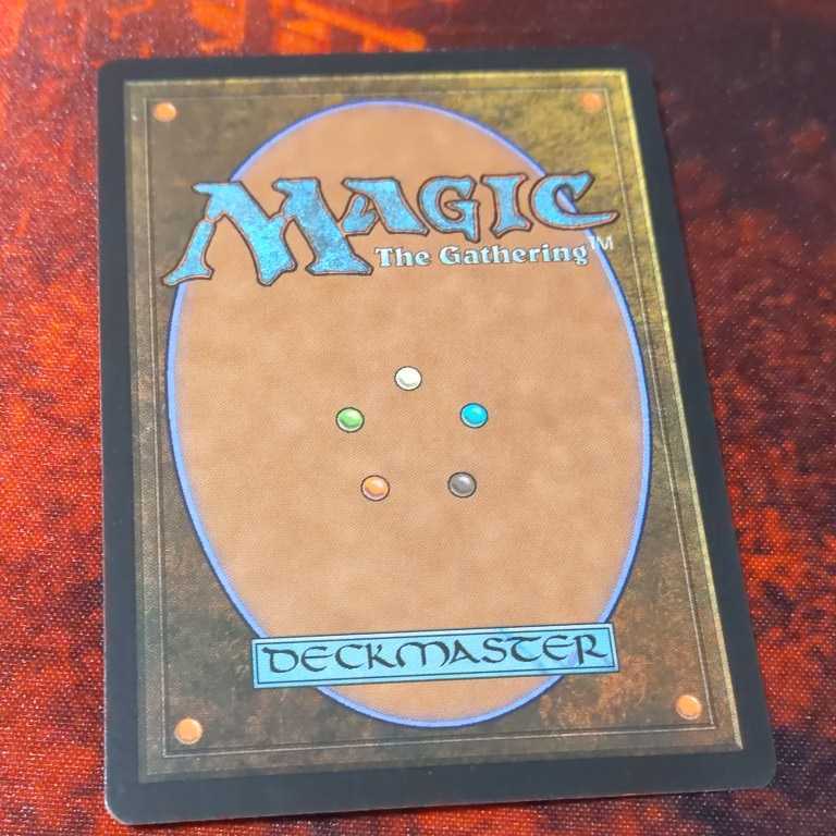 MTG 食物連鎖 【公式通販】