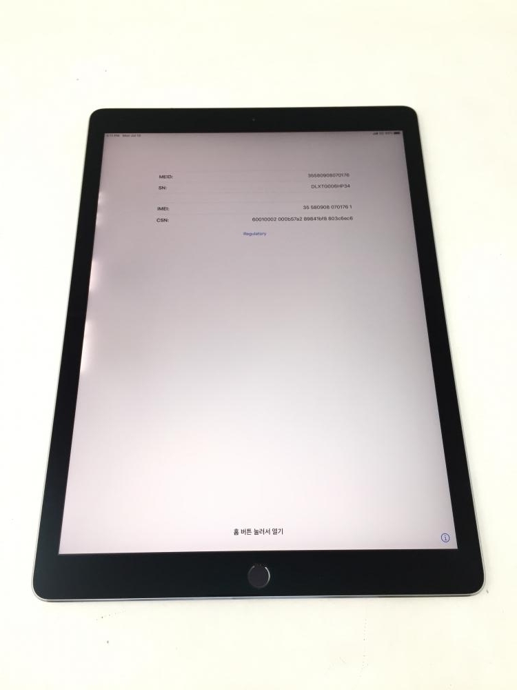 ジャンク ipad pro 12.9 インチ 256GB Wi-Fi モデル