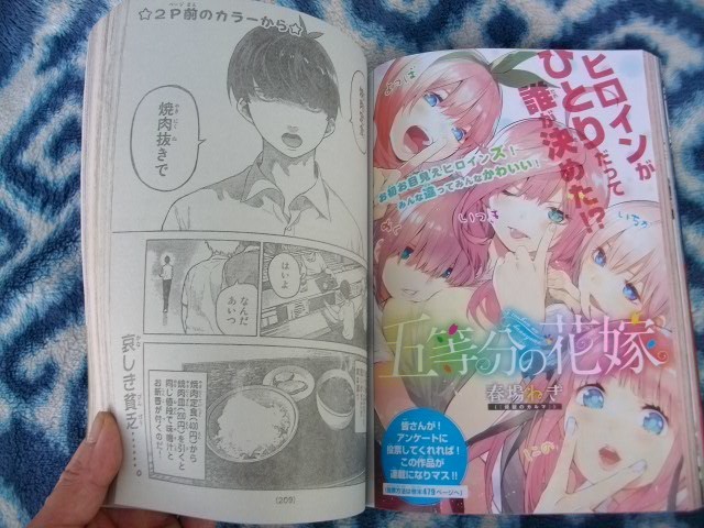 週刊少年マガジン 2017年 8号 五等分の花嫁読み切り掲載号 五等分の花嫁 新連載前読切掲載号 週刊少年マガジン2017年8号 極