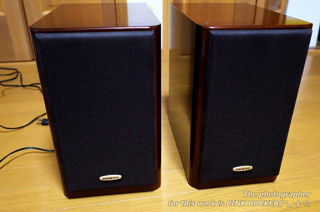 ONKYO オンキョウ D-202AX LTD スピーカーペア 音出し確認済み ONKYO D