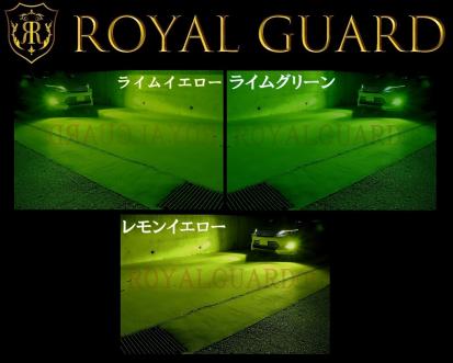 在庫限り ロイヤルガード LED フォグ 21000LM H8 H11 H16 20系 30系