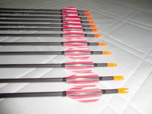 | Easton ACE EASTON A&frasl;C&frasl;E - ARROWS 0 &amp; 12本他付属品セット Arrow POINTS SERIES&frasl;570 G 公式 Centreshot