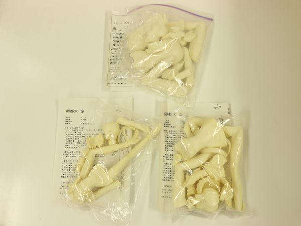 A29 勇者王ガオガイガー スワン・ホワイト 1/6 + 卯都木命 1/6 1/8