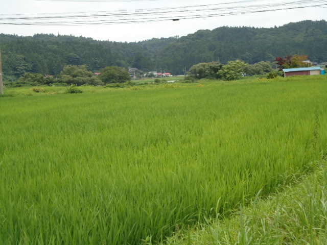 p765448113