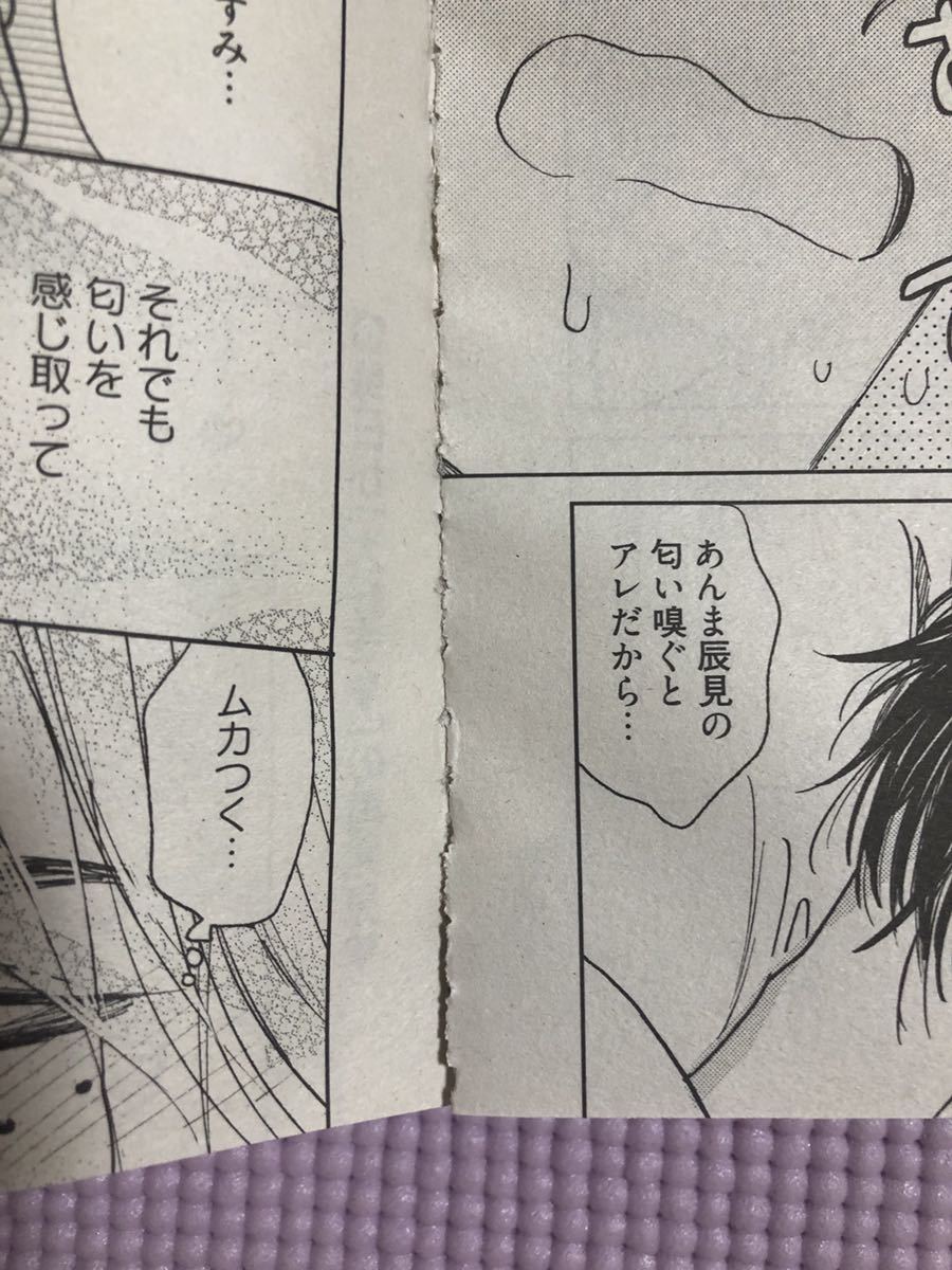 麗人 7月号（雑誌著者等複数） 竹書房 無料コミック 2019年 | 麗人2026