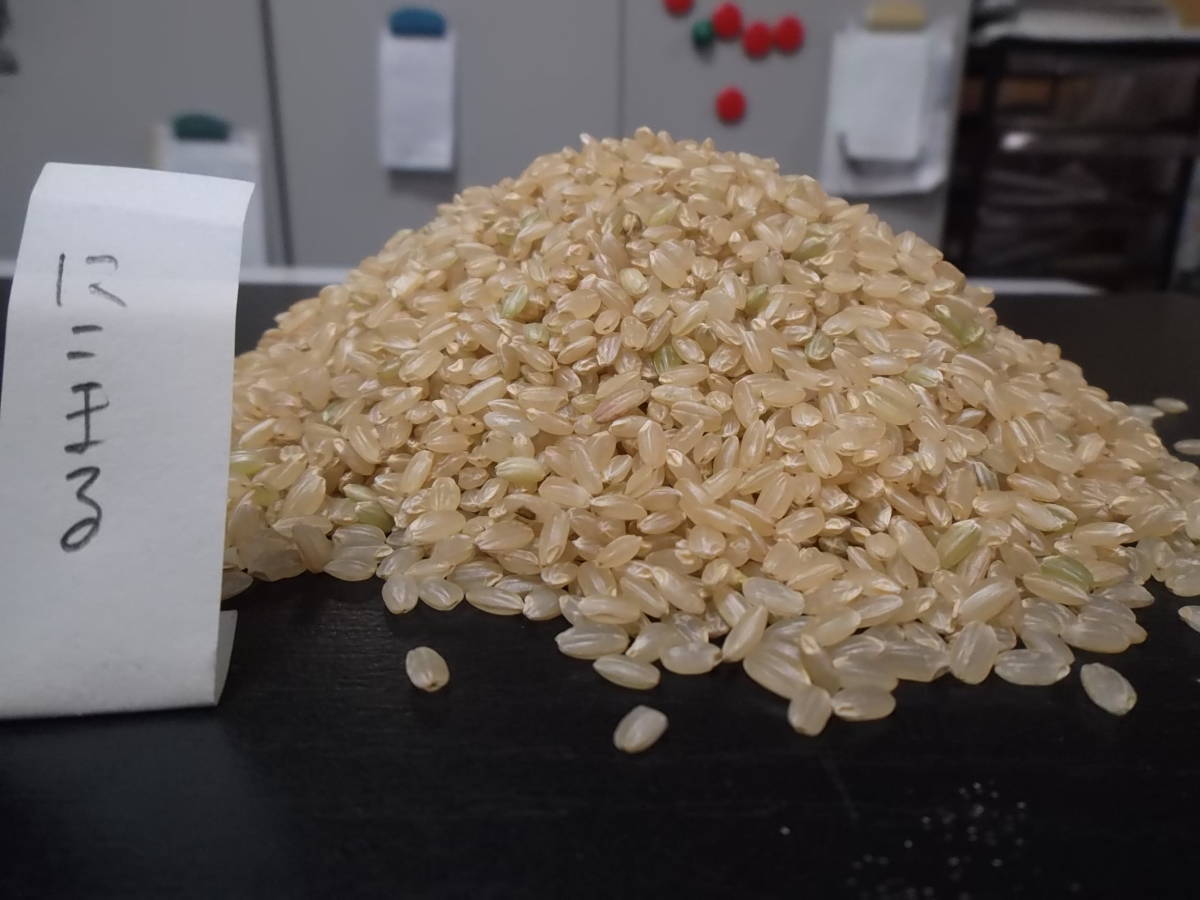 赤字超特価，限定SALE 安心美味しい 自家栽培 にこまる 奈良県北部 令和元年産 玄米２５キロ(玄米)｜売買されたオークション情報、yahooの商品情報をアーカイブ公開 - オークファン その他