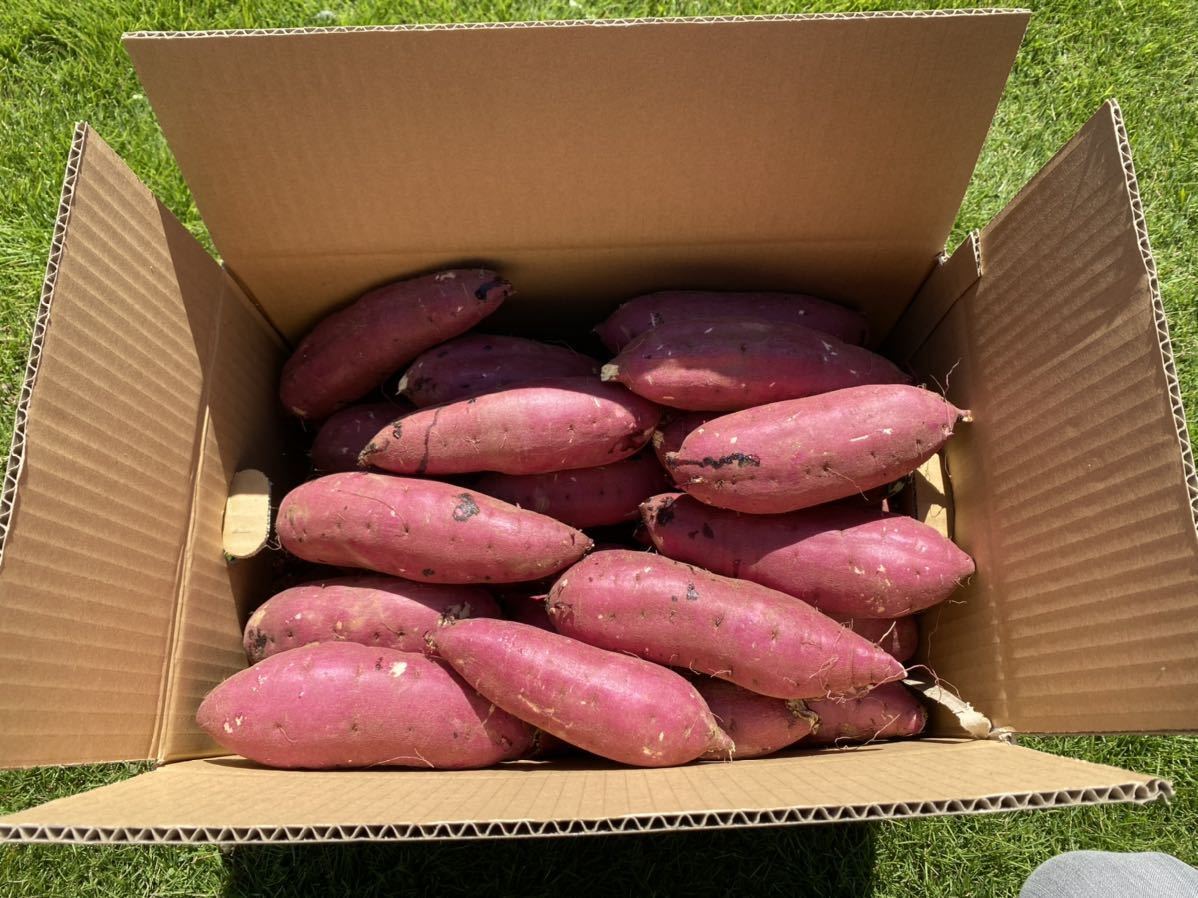 茨城県産 紅はるか こちらは2箱10キロ 農家直送！とても甘くておススメ