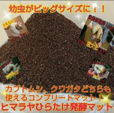 安い，高品質 60リットル入り カブトムシが巨大化します ヒマラヤひらたけ菌床発酵マット 栄養価抜群 幼虫の餌 産卵マットにも抜群の実績あります(マット、床材)｜売買されたオークション情報、yahooの マット、床材