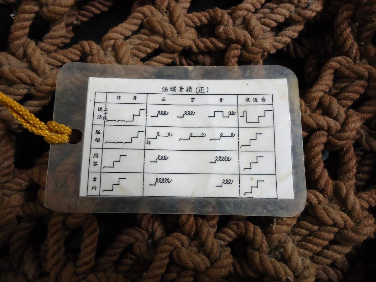 秀逸 法螺貝 吹き口付 Www Enagrik Com