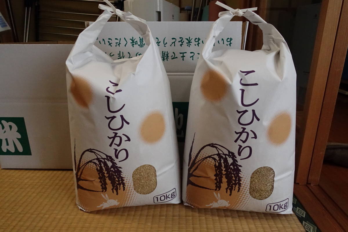 令和元年 能登産コシヒカリ 20Kg その③ 令和7年産 魚沼産 コシヒカリ