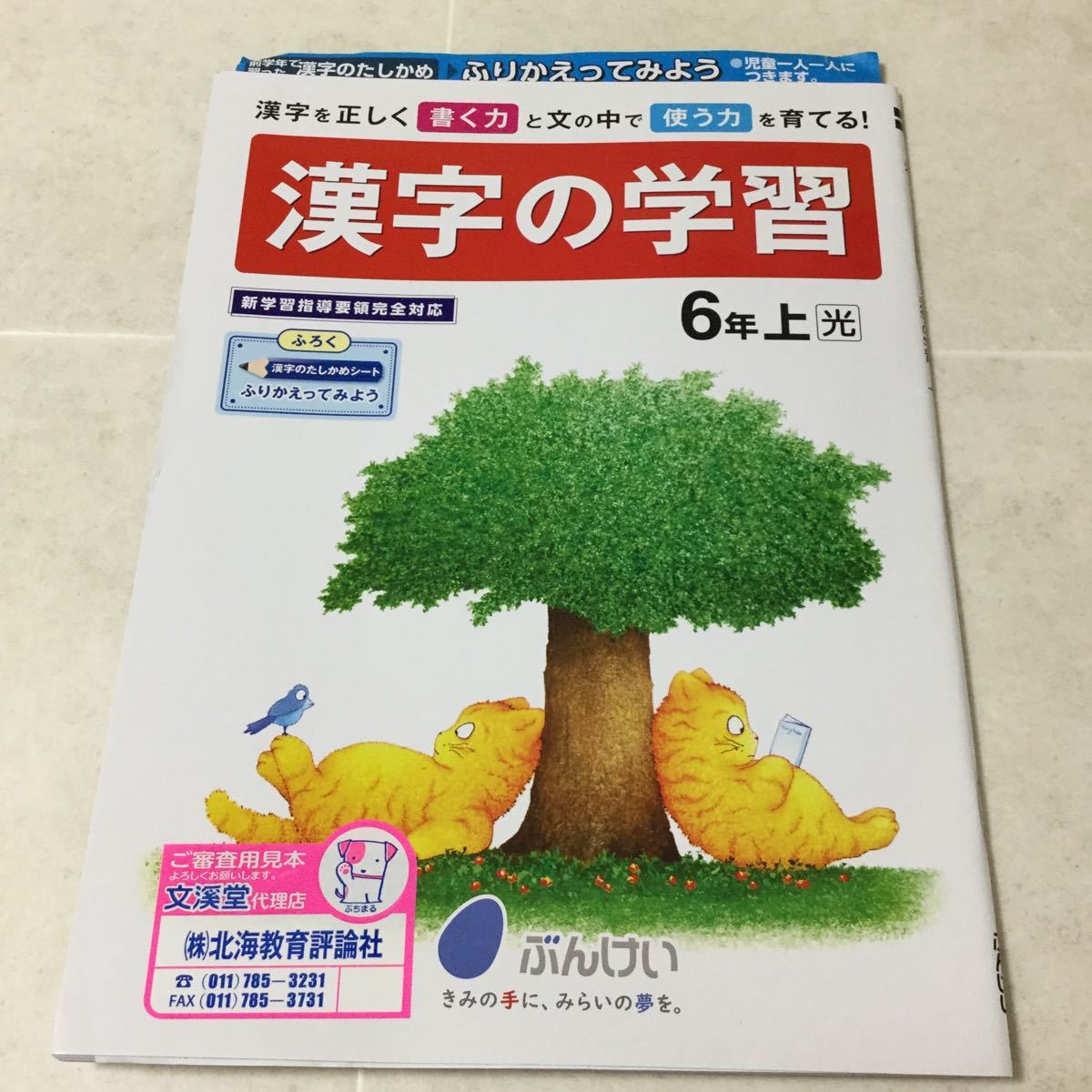 A3 漢字の学習 6年生 漢字ドリル 学習 ドリル 問題集 国語 算数 漢字 理科 社会 小学校 テスト 試験 勉強 小学生 テキスト 教育 学習 小学校 売買されたオークション情報 Yahooの商品情報をアーカイブ公開 オークファン Aucfan Com
