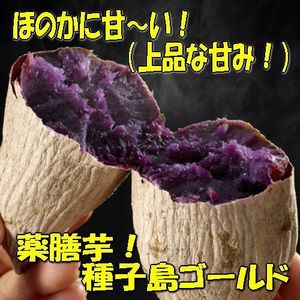 種子島のYahoo!オークション(旧ヤフオク!)の相場・価格を見る｜Yahoo