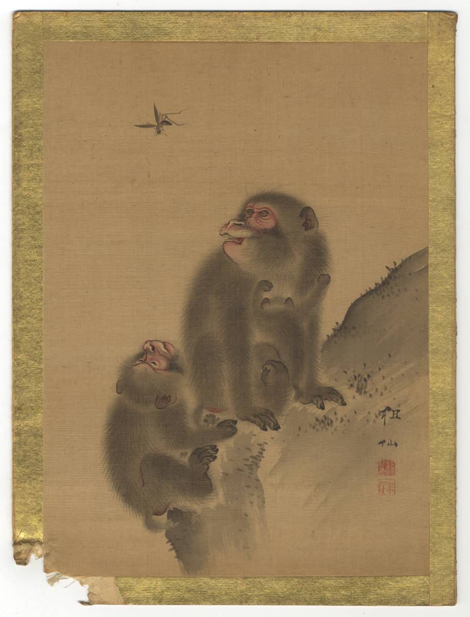 真作森祖仙⁄森狙仙⁄親子猿之図⁄掛軸☆宝船☆Y-896 JM 親子猿図（森