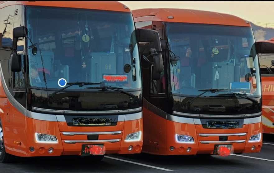 新型ジェイバス(セレガ　GALA)プロフィア風デイライト　スイッチ付き_3