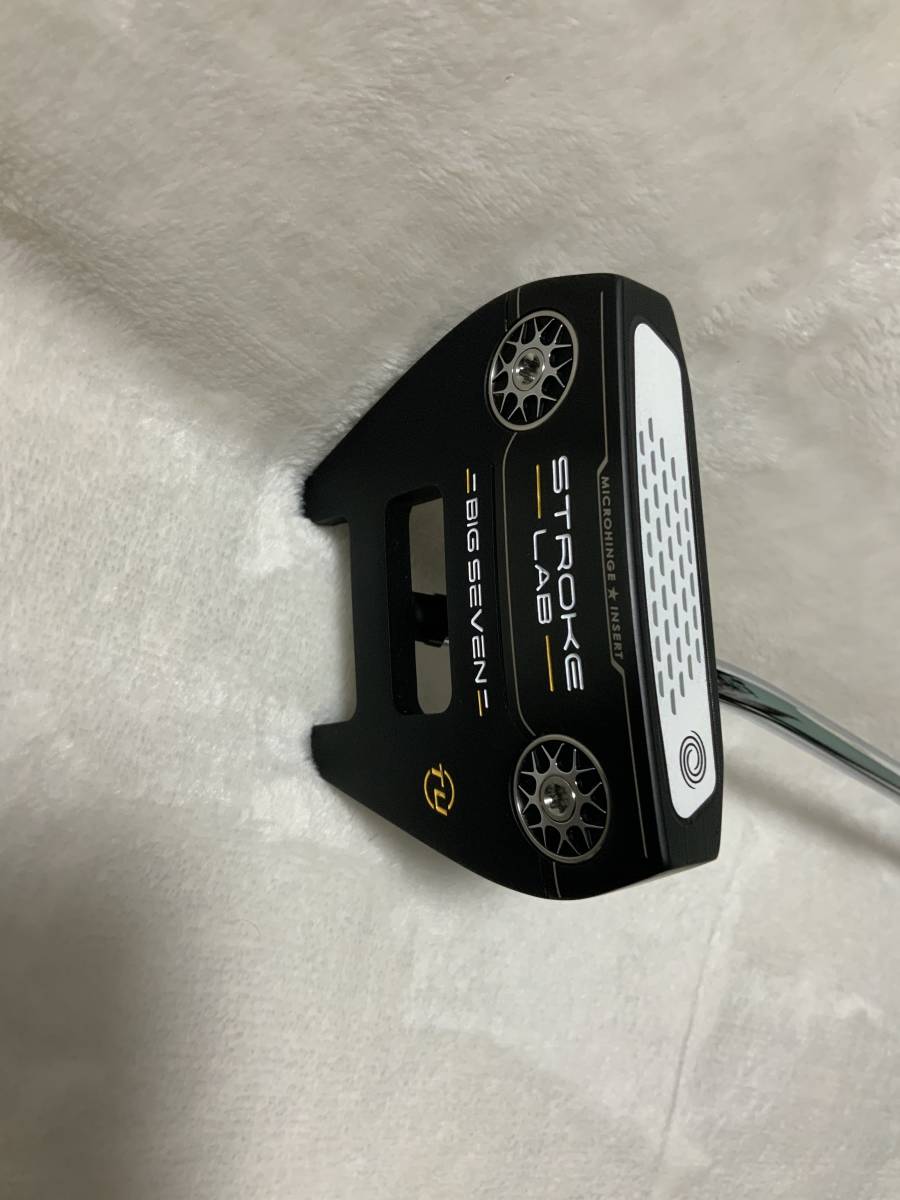  ストロークラボ　パター