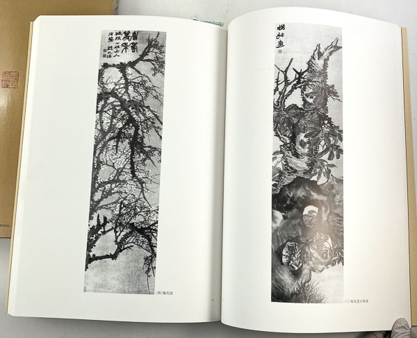 趙之謙作品選 小林斗庵編 東方書店 1990年 美宝社 作品多数掲載 中国書
