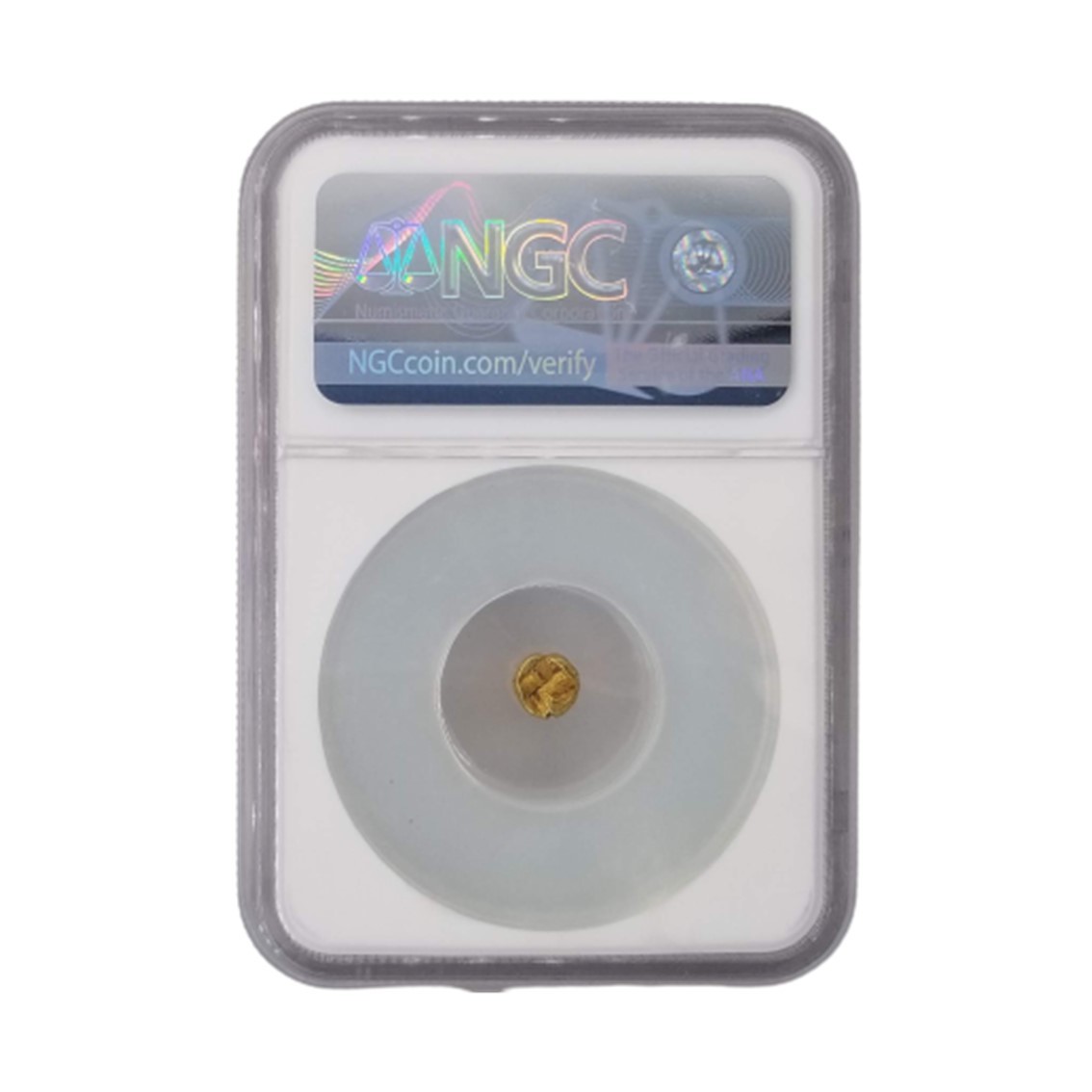 古代 ギリシャ AU】エレクトラム金貨 イオニア 紀元前 625-550 1/24 スターテル NGC スタテル UNCERTAIN